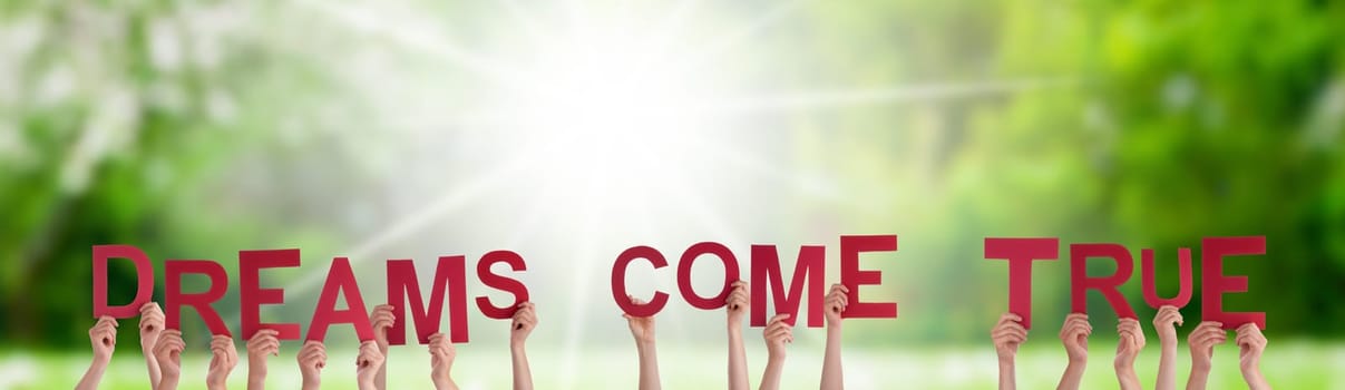People Or Persons Hands Building English Word Dreams Come True. Sunny Green Grass Meadow As Background.