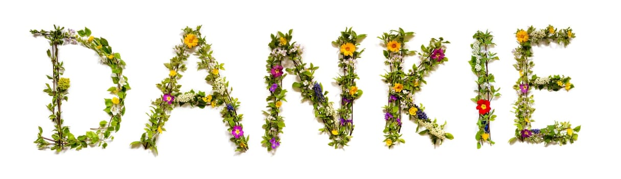 Colorful Flowers Building African Text Dankie, Means Thank You in English, Some Green And Some Spring Flowers on Isolated White Background, Symbolic Meaning, Quote