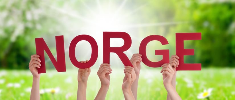 People Or Persons Hands Building Norwegian Word Norge Means Norway. Sunny Green Grass Meadow As Background.