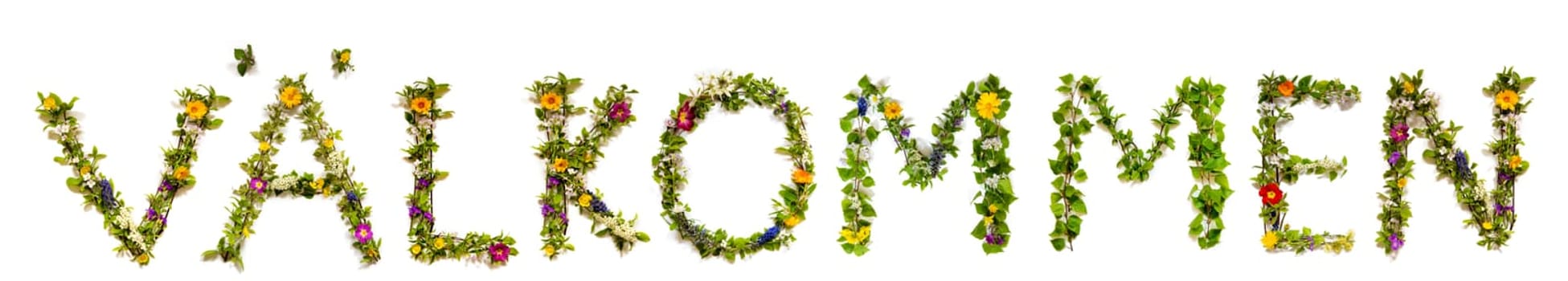 Colorful Flowers Building Swedish Text Välkommen, Means Welcome in English, Some Green And Some Spring Flowers on Isolated White Background, Symbolic Meaning, Quote
