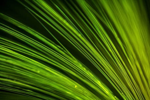 Blurry fiber optics, background image, technology concept of data transfer and communication.