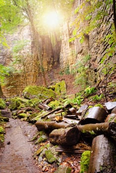 Mullerthal trail in Luxembourg between Echternach and Berdorf, hiking through a forest with sandstone rock formations
