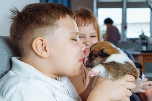 Happy brother and sister are sitting at home on couch, boy is holding cute little puppy in his arms and kissing him on muzzle. Children and dogs. Moments of tenderness. Positive emotions.