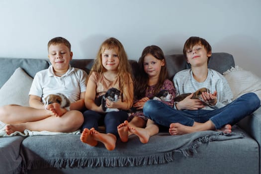 Group of children and puppies. Family, brothers and sisters are sitting at home on gray sofa and holding several puppies on their hands and knees, playing and stroking them. Positive emotions.