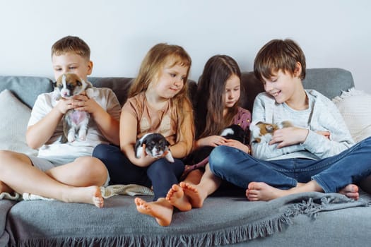Family, brothers and sisters are sitting at home on gray sofa and holding several puppies on their hands and knees, playing and stroking them. Group of children and puppies. Children and dogs.