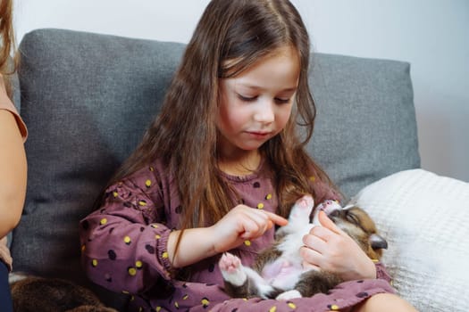 Lovely girl with long hair in dress is sitting on sofa hugging little puppy and gently stroking his tummy. Children and dogs. Love and happiness. Positive emotions. Responsibility education.