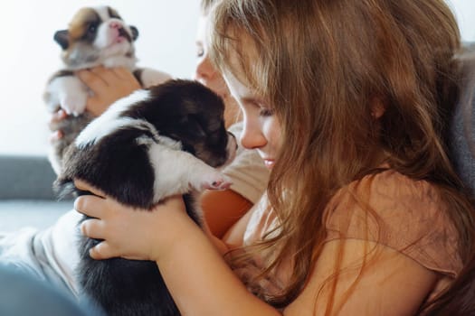 Happy girl with long hair is sitting on sofa, holding charming puppy in her hands and touching her nose with its nose. Children and dogs. Moments of tenderness. Positive emotions. Charming noses.