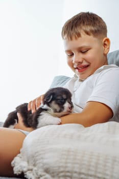 Caring for and caring for pets. Charming Welsh corgi puppy, who recently opened his eyes, lies on lap of teenage boy. Love and happiness. Positive emotions. Happy childhood. Wonderful moments.