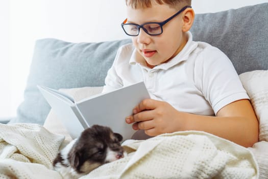 Cute boy in glasses and white T-shirt is sitting on couch, reading book, small Welsh corgi puppy is lying on his lap. Happy childhood. Training and development. Caring for and caring for pets.