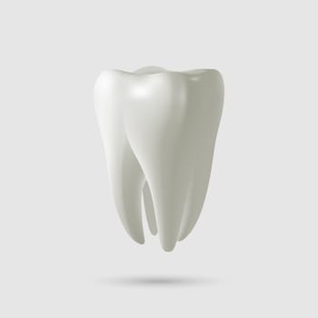 Realistic tooth isolated on white. Vector illustration.