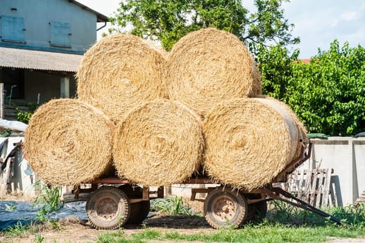 Agricultural wagon with stacked straw bales  waiting for transport.