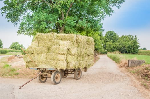 Farm cart with hay bales stacked left on the road