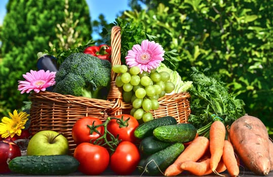 Variety of fresh organic vegetables and fruits in the garden. Balanced diet