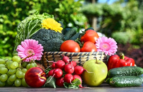 Variety of fresh organic vegetables and fruits in the garden. Balanced diet