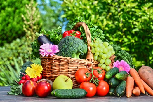 Variety of fresh organic vegetables and fruits in the garden. Balanced diet