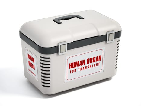 Human organ transport box isolated on white background. 3D illustration.