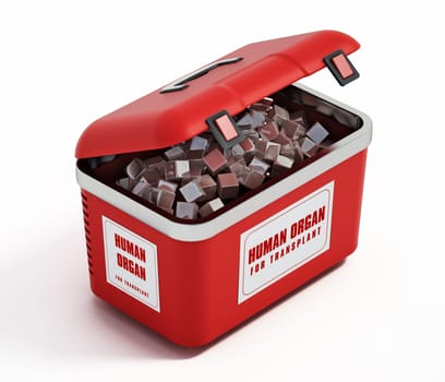 Human organ transport box isolated on white background. 3D illustration.