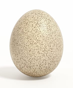 Bird egg isolated on white background. 3D illustration.