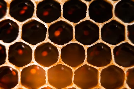 Close-up of bee honeycombs of geometric hexagonal shapes full of delicious honey. Beekeeping, apiculture, bee farming, background, texture, pattern, wallpaper, health care, food, beehive, mosaic.