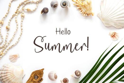 White Summer Flat Lay, Top View, Decorated With Shells and Plants, With English Text Hello Summer