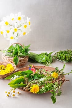 Spring table background with flowers, herbs and plants. Wild garlic, nettle, dandelion and other medicinal herbs and wild edible plants growing in early spring.