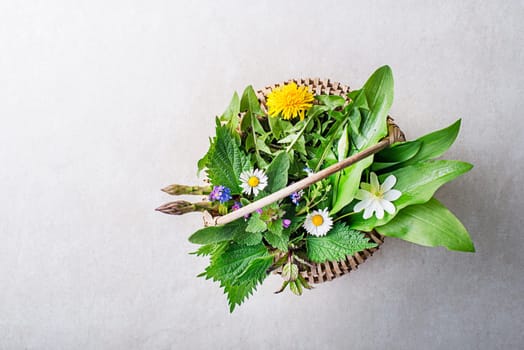 Spring table background with flowers, herbs and plants. Wild garlic, nettle, dandelion and other medicinal herbs and wild edible plants growing in early spring.