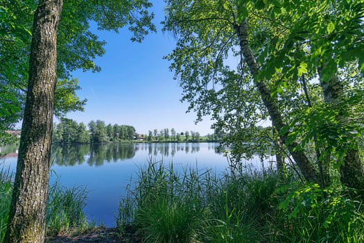 A look through the enchanting Soppensee