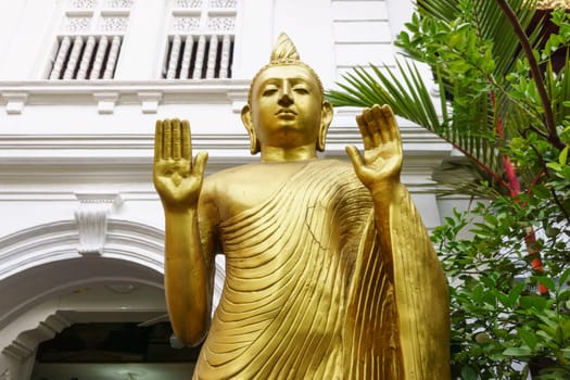 Colombo, Srilanka - 06 July, 2015