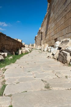 Archaeological site of Leptis Magna, Libya - 10/30/2006:  The Forum of Severe in the ancient Roman city of  Leptis Magna.
