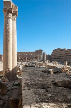 Archaeological site of Leptis Magna, Libya - 10/30/2006:  The Forum of Severe in the ancient Roman city of  Leptis Magna.