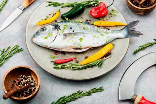 Uncooked whole dorado fish with spicy herbs on rustic wooden background