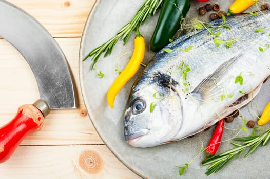Uncooked whole dorado fish with spicy herbs on rustic wooden background