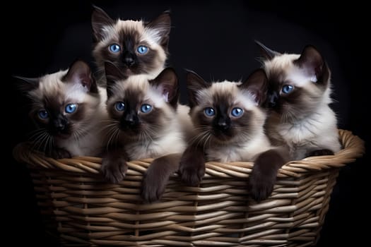 The little kittens are piled up in a basket, sleeping peacefully with their tiny paws crossed over. We can see their little faces sticking out.
