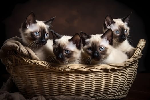 The little kittens are piled up in a basket, sleeping peacefully with their tiny paws crossed over. We can see their little faces sticking out.