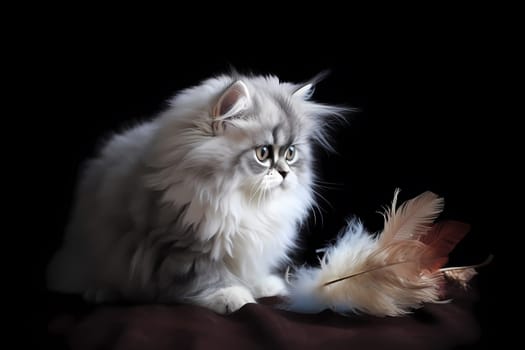 The elegant kitten is jumping and pouncing on a feather toy with grace and style.
