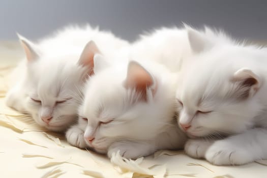The kittens look so cozy curled up together, quietly sleeping.