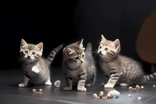 The mischievous kittens pounce and leap as they try to catch the elusive red dot.