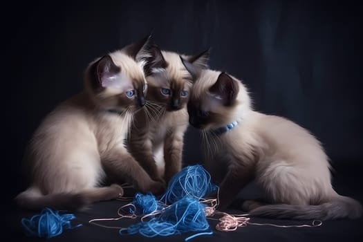 The Siamese kittens are leaping and bounding in the air, trying to catch the feathers on the toy!