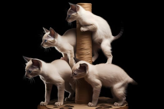 The kittens are scampering and clambering over each other to reach the top of the tall scratching post
