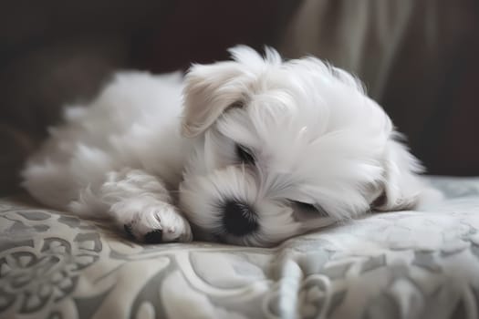 The white puppy is curled up on a soft, fluffy pillow, enjoying a peaceful nap.