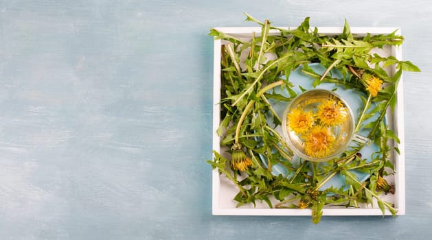 Dandelion wildflower tea, glass with herbal hot drink, alternative medicine for detox, leaves and flowers