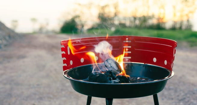 Barbecue on the grill, fire flame with coals, picknick in nature