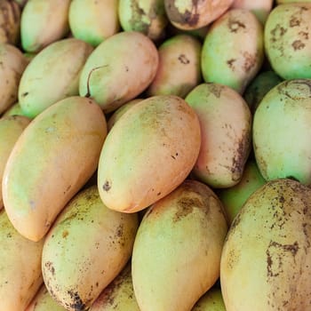 Mango fruit at the vegetable market in Phuket, Thailand