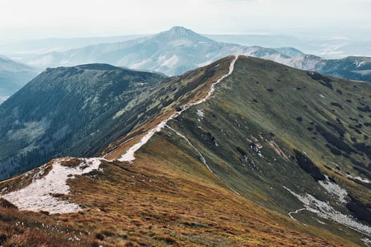 Tatra Mountains landscape. Scenic view of mountain rocky peaks, slopes, hills and valleys covered with grass, mugo pine and trees