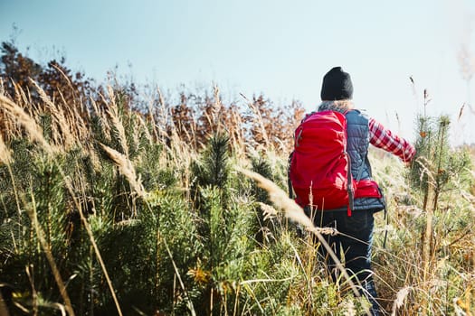 Rear view of young woman hiking on summer sunny day. Woman with backpack hiking through tall grass along path in mountains. Spending summer vacation close to nature