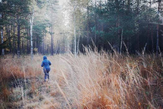 Woman walking through a meadow toward a forest. Forest in autumn season. Colorful foliage on trees lit by morning sunlight. Natural nature forest landscape in autumn warm sunlight day. Real people, authentic situations