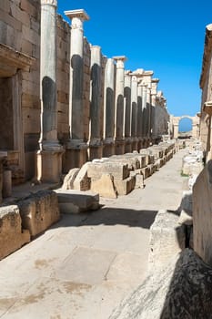 Archaeological site of Leptis Magna, Libya - 10/30/2006: The Basilica of Severe  in the ancient Roman city of Leptis Magna.
