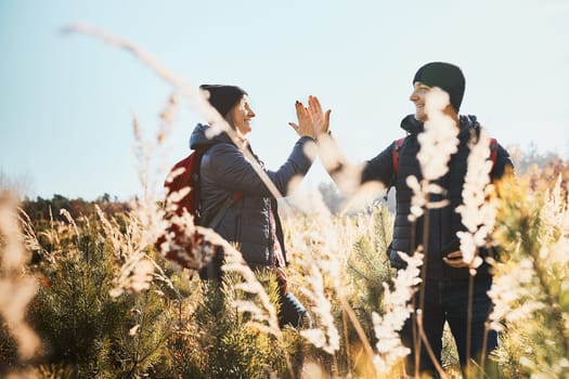 Friends enjoying trip in nature, giving high five while vacation day. Hikers with backpacks on way to mountains. Walking through tall grass along path in meadow on sunny day. Active leisure time close to nature