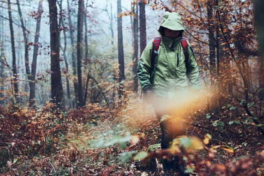 Woman with backpack wandering around a forest on autumn cold day. Back view of middle age active woman going along forest path actively spending time