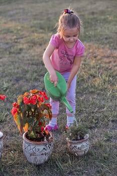 Little girl helping to water the flowers growing in flower pot, pouring water from green watering can, working in backyard at sunset. Candid people, real moments, authentic situations